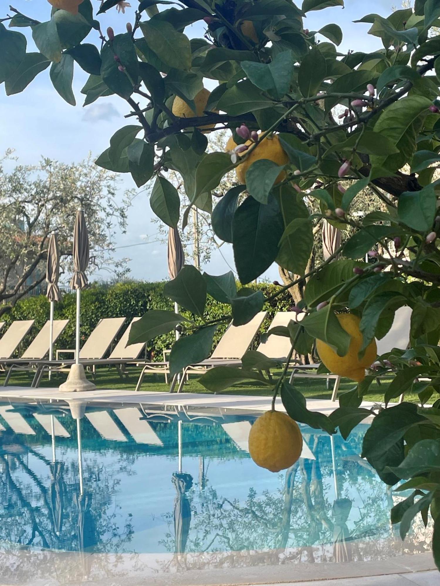 Hotel Al Sole Bardolino Exteriér fotografie